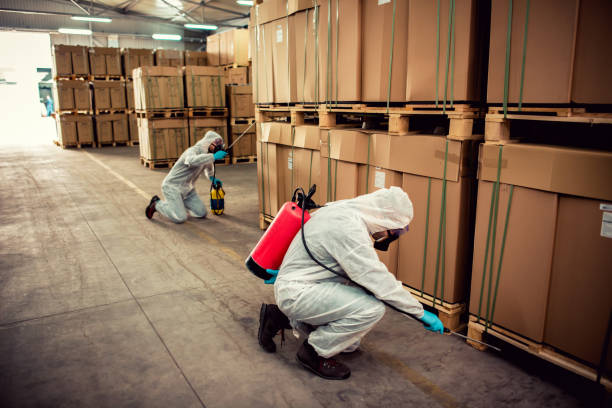 Best Flea Control Services  in Richlands, NC