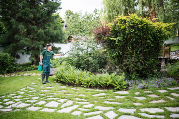 Best Mosquito Control Services  in Richlands, NC