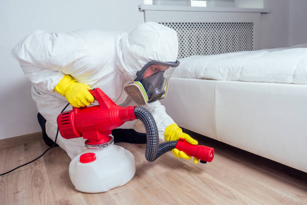 Best Pest Control for Homes  in Richlands, NC