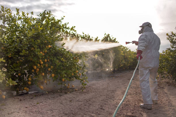Best Commercial Pest Control Services  in Richlands, NC