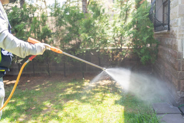 Best Flea Control Services  in Richlands, NC