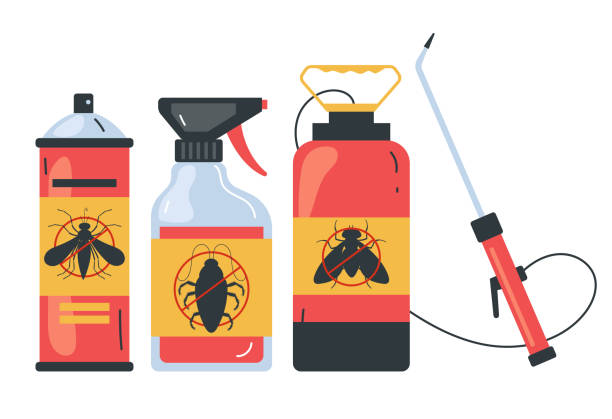 Best Termite Control Services  in Richlands, NC