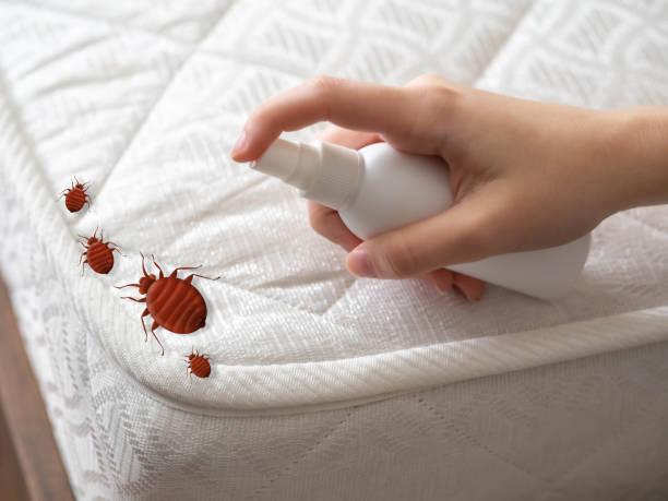 Professional Pest Control in Richlands, NC