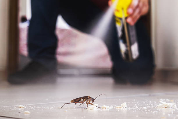 Best Flea Control Services  in Richlands, NC