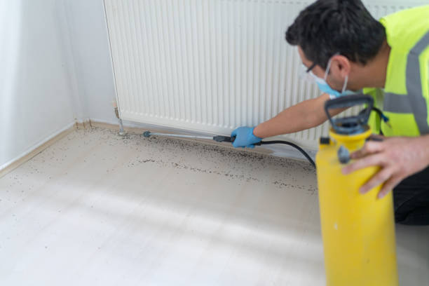 Best Pest Prevention Services  in Richlands, NC