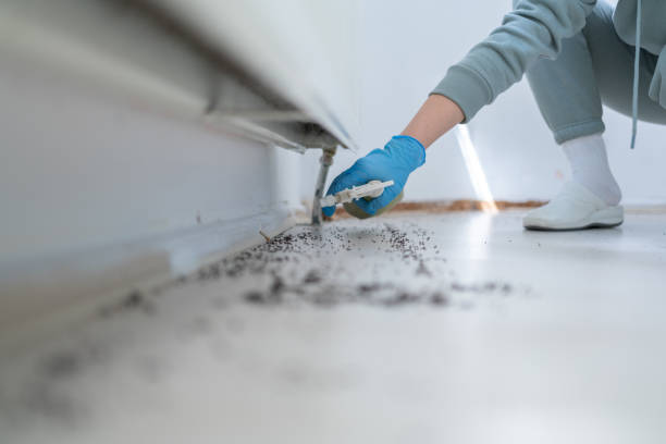 Best Best Pest Control Companies  in Richlands, NC