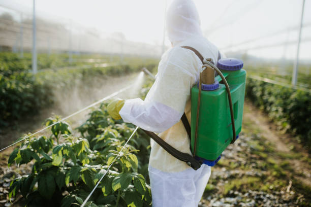 Best Insect Control  in Richlands, NC
